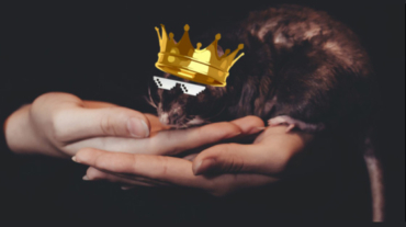 szcz